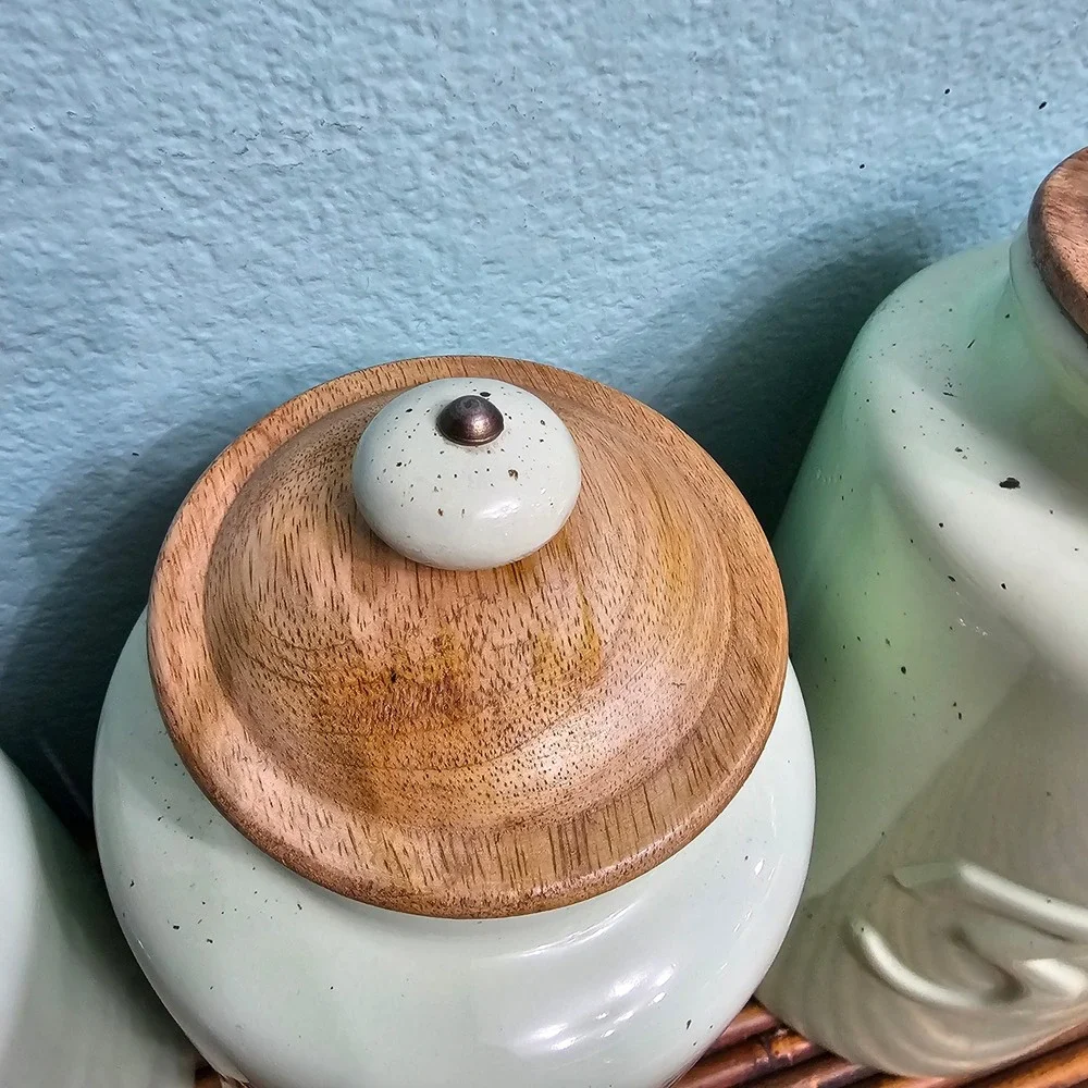 Pier 1 Imports Mint Green Speckled Ceramic Canister Set Wood Lids Farmhouse